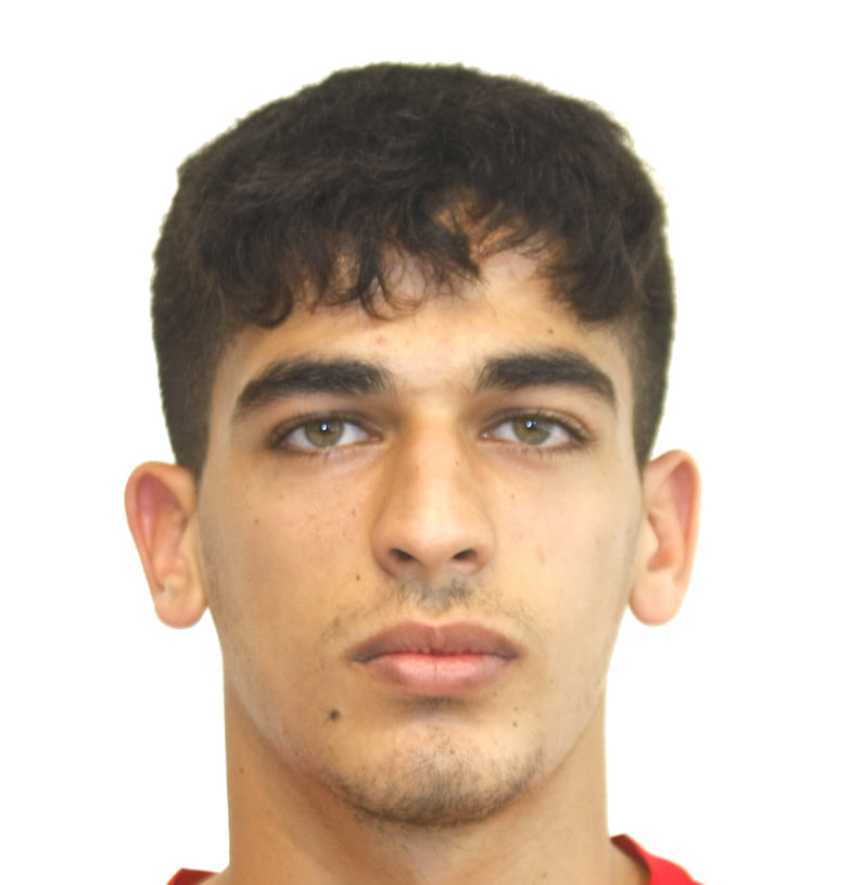 احمد جنادله