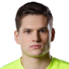عکس Malzinskas D.